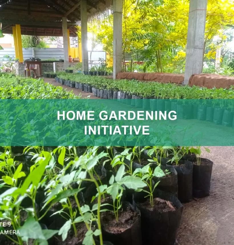 Home Gardening Initiative