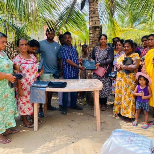 Home gardening project image 4