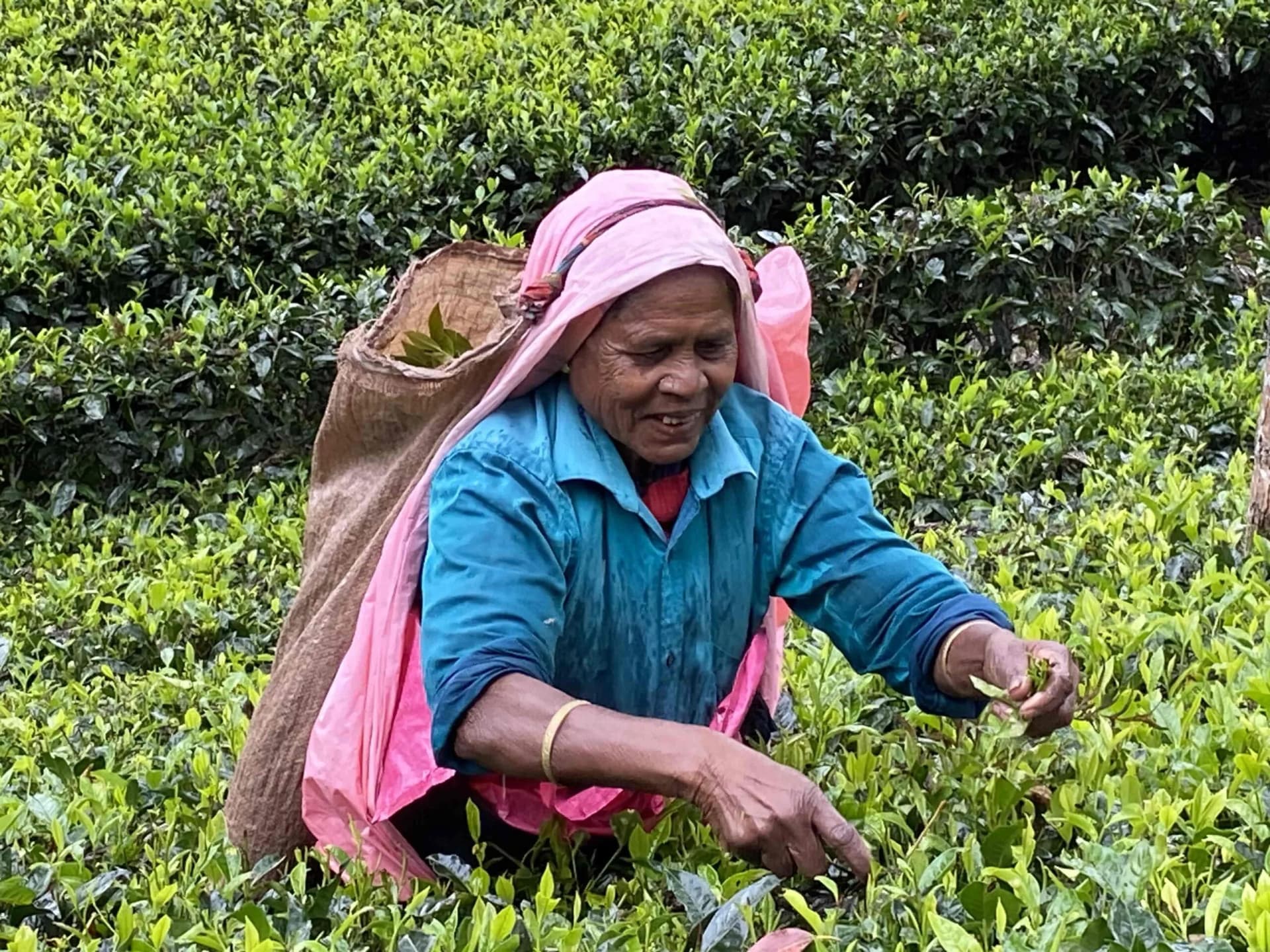 Supporting Cancer Patients image 1