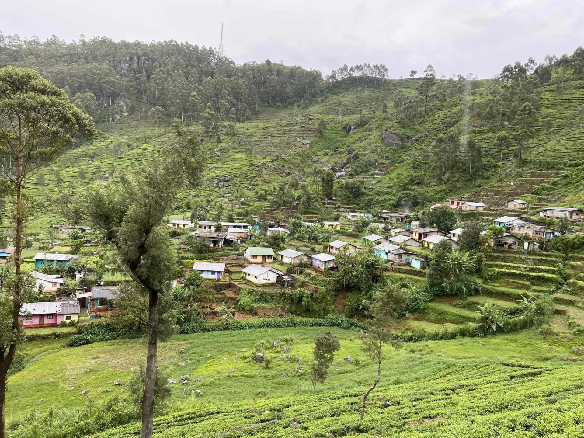 Supporting Cancer Patients image 2