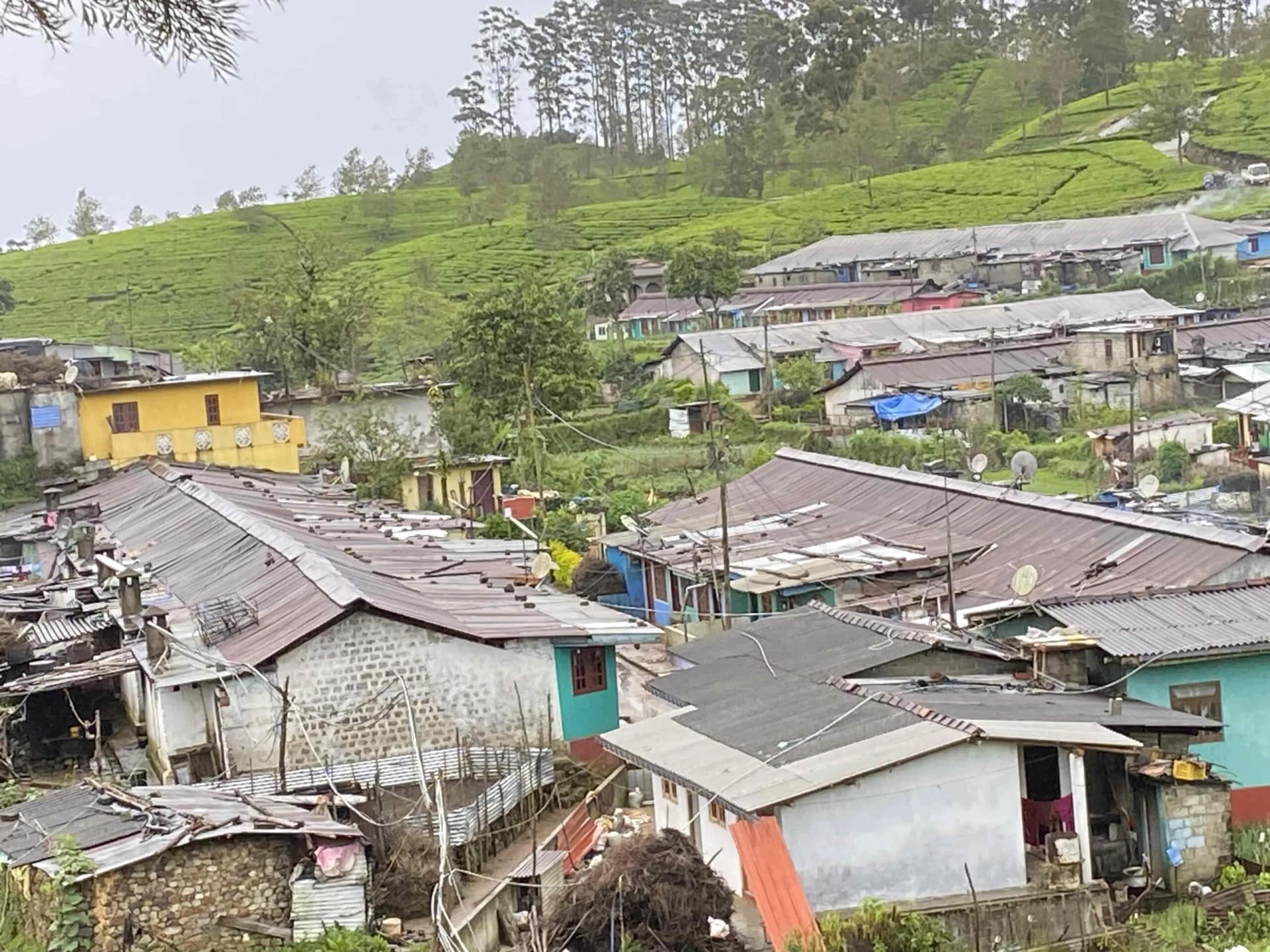 Supporting Cancer Patients image 3