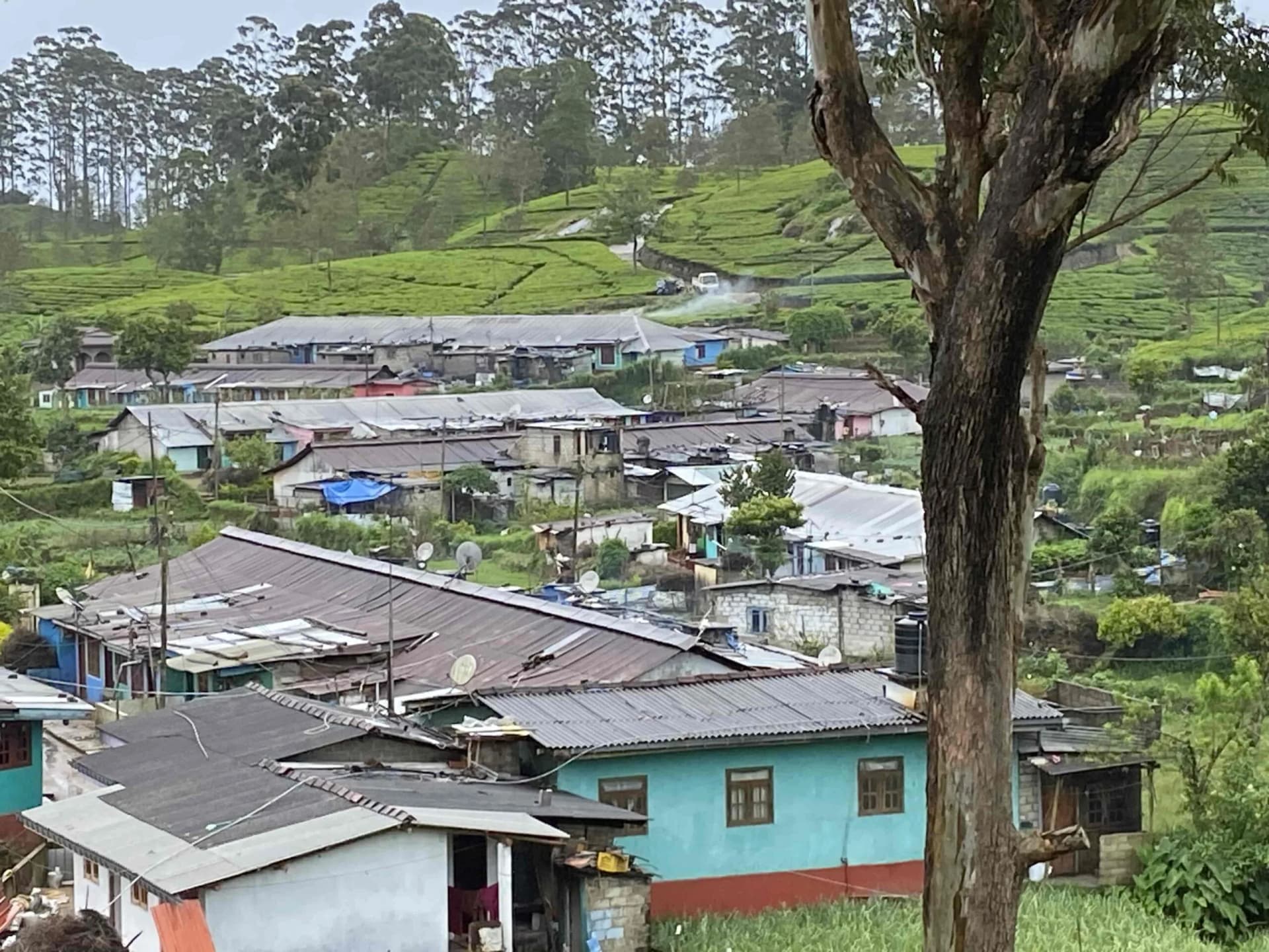 Supporting Cancer Patients image 4