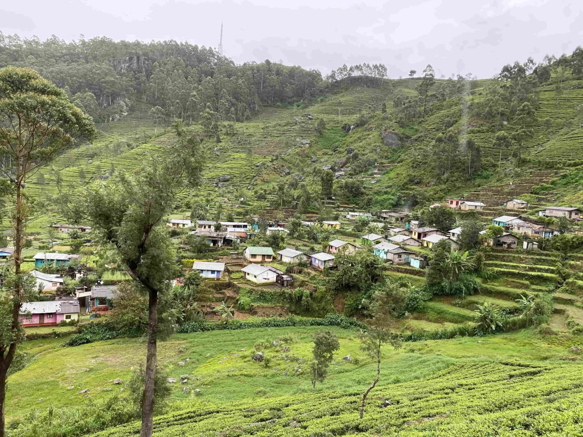 Supporting Cancer Patients image 5