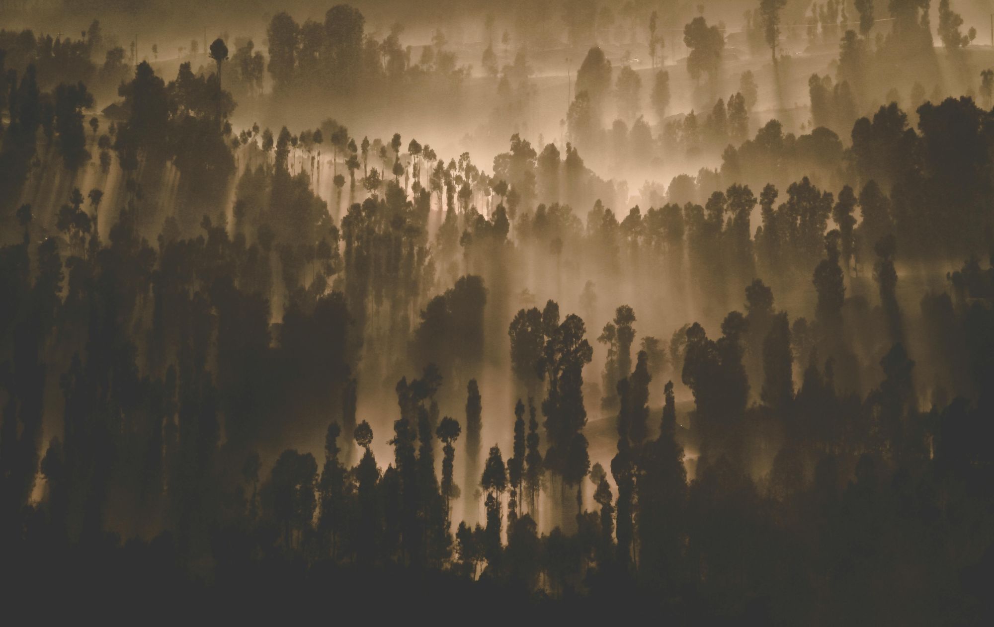 Artist Asai Rasiah Hero