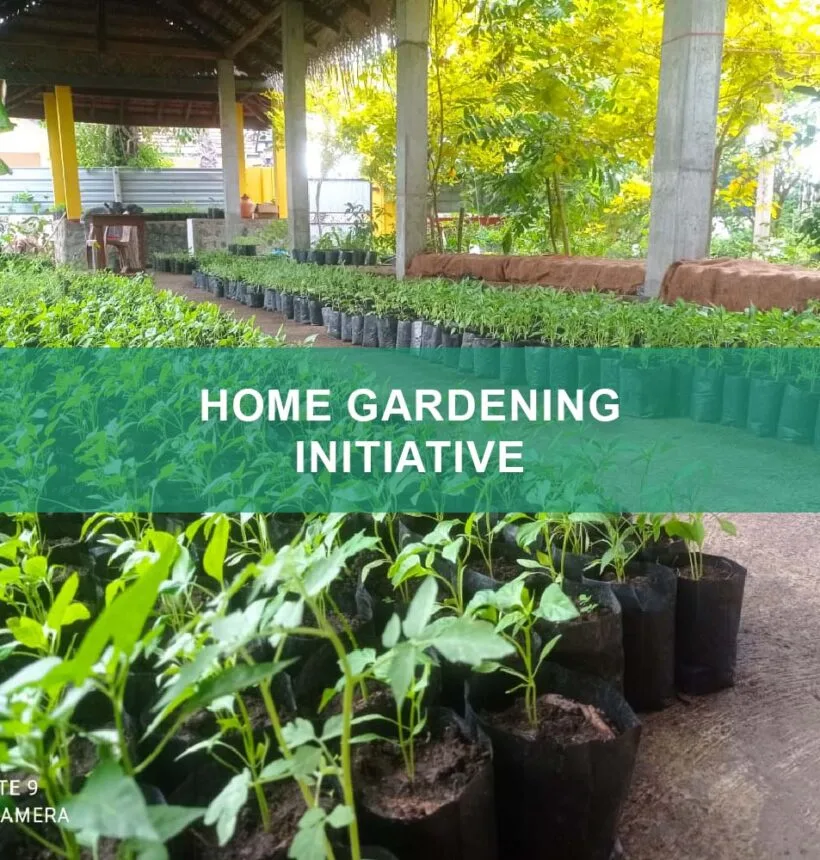 Home Gardening Initiative